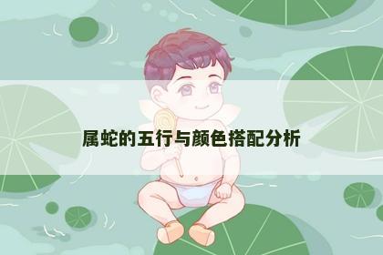 属蛇的五行与颜色搭配分析