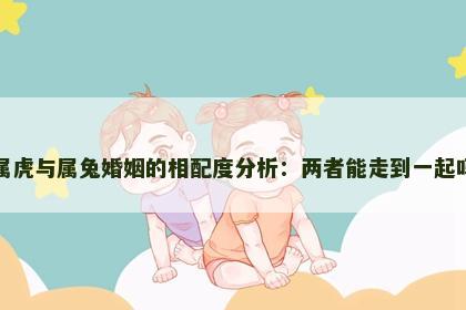属虎与属兔婚姻的相配度分析：两者能走到一起吗