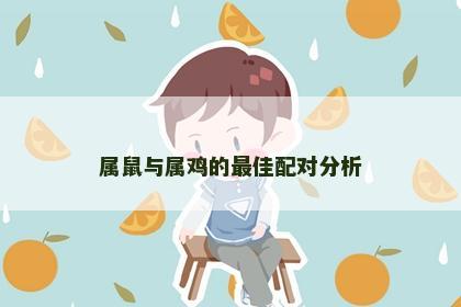 属鼠与属鸡的最佳配对分析