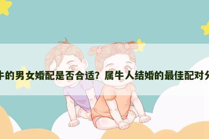 属牛的男女婚配是否合适？属牛人结婚的最佳配对分析