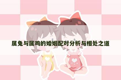 属兔与属鸡的婚姻配对分析与相处之道