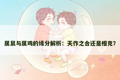 属鼠与属鸡的缘分解析：天作之合还是相克？