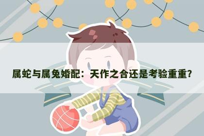 属蛇与属兔婚配：天作之合还是考验重重？