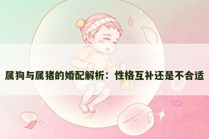 属狗与属猪的婚配解析：性格互补还是不合适