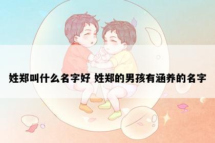 姓郑叫什么名字好 姓郑的男孩有涵养的名字