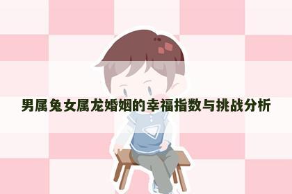 男属兔女属龙婚姻的幸福指数与挑战分析