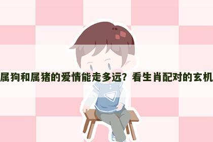属狗和属猪的爱情能走多远？看生肖配对的玄机
