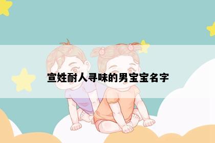 宣姓耐人寻味的男宝宝名字