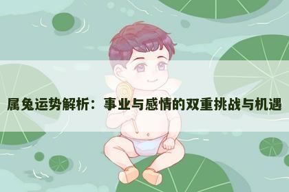 属兔运势解析：事业与感情的双重挑战与机遇