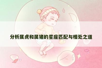 分析属虎和属猪的星座匹配与相处之道