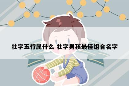 壮字五行属什么 壮字男孩最佳组合名字