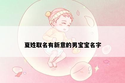 夏姓取名有新意的男宝宝名字