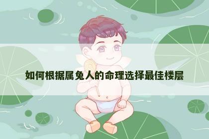 如何根据属兔人的命理选择最佳楼层