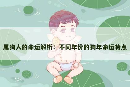 属狗人的命运解析：不同年份的狗年命运特点