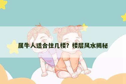 属牛人适合住几楼？楼层风水揭秘