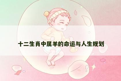 十二生肖中属羊的命运与人生规划