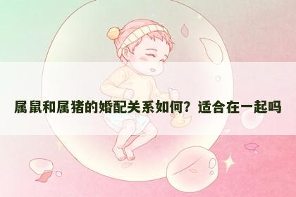 属鼠和属猪的婚配关系如何？适合在一起吗