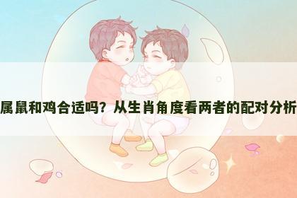 属鼠和鸡合适吗？从生肖角度看两者的配对分析