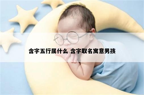 含字五行属什么 含字取名寓意男孩