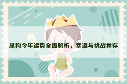 属狗今年运势全面解析，幸运与挑战并存