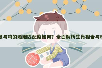 属鼠与鸡的婚姻匹配度如何？全面解析生肖相合与相冲