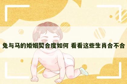 兔与马的婚姻契合度如何 看看这些生肖合不合
