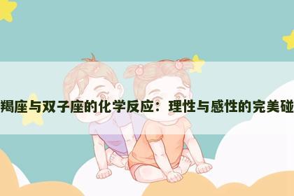 摩羯座与双子座的化学反应：理性与感性的完美碰撞