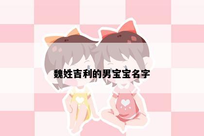 魏姓吉利的男宝宝名字