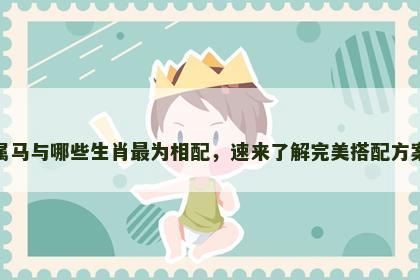 属马与哪些生肖最为相配，速来了解完美搭配方案
