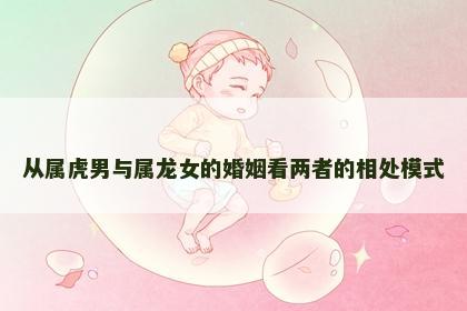 从属虎男与属龙女的婚姻看两者的相处模式