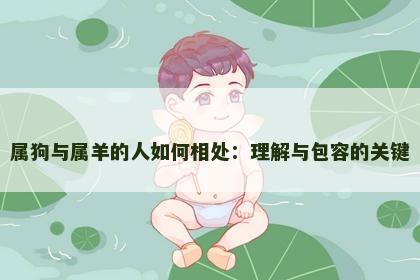 属狗与属羊的人如何相处：理解与包容的关键