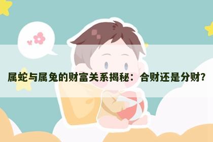 属蛇与属兔的财富关系揭秘：合财还是分财？