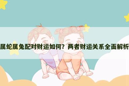 属蛇属兔配对财运如何？两者财运关系全面解析