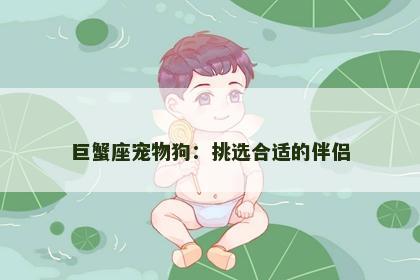 巨蟹座宠物狗：挑选合适的伴侣