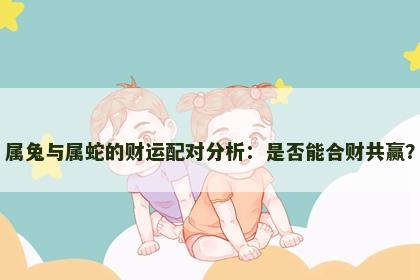 属兔与属蛇的财运配对分析：是否能合财共赢？