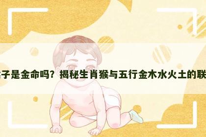 猴子是金命吗？揭秘生肖猴与五行金木水火土的联系