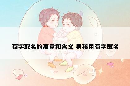 荀字取名的寓意和含义 男孩用荀字取名