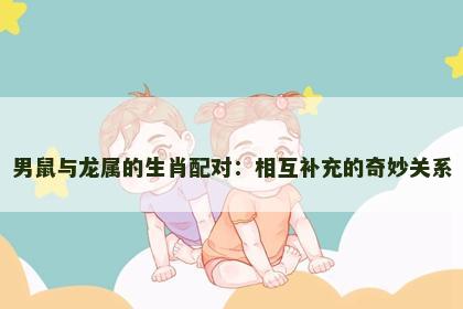 男鼠与龙属的生肖配对：相互补充的奇妙关系