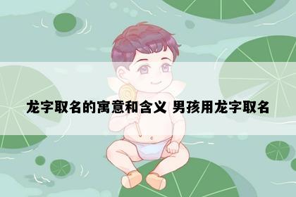 龙字取名的寓意和含义 男孩用龙字取名