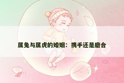 属兔与属虎的婚姻：携手还是磨合