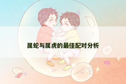 属蛇与属虎的最佳配对分析