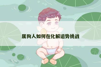属狗人如何在化解运势挑战