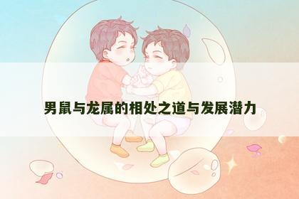 男鼠与龙属的相处之道与发展潜力