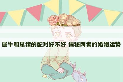 属牛和属猪的配对好不好 揭秘两者的婚姻运势