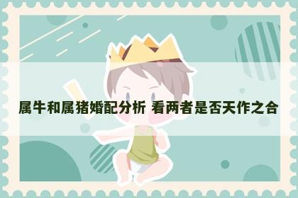 属牛和属猪婚配分析 看两者是否天作之合