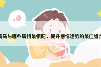 属马与哪些属相最相配，提升感情运势的最佳组合