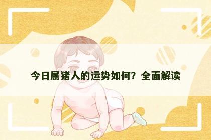 今日属猪人的运势如何？全面解读