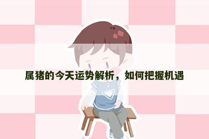 属猪的今天运势解析，如何把握机遇