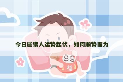 今日属猪人运势起伏，如何顺势而为