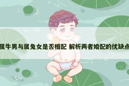 属牛男与属兔女是否相配 解析两者婚配的优缺点